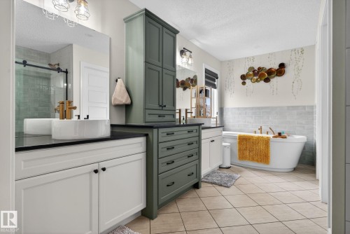 924 173 Street, Edmonton, AB - Indoor Photo Showing Bathroom