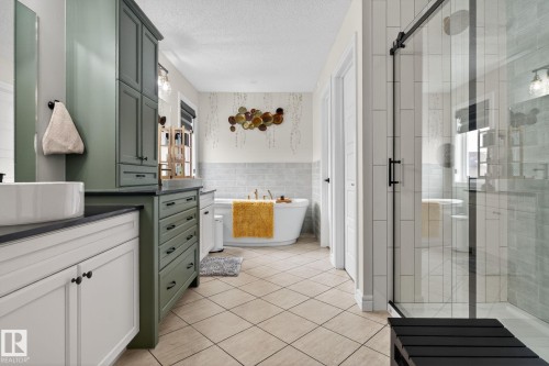 924 173 Street, Edmonton, AB - Indoor Photo Showing Bathroom