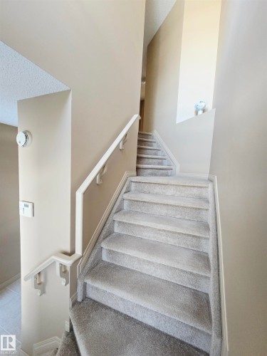 Staircase with light gray carpeting and white handrails, complemented by neutral-toned walls - 60 1128 156 Street, Edmonton, AB - Indoor Photo Showing Other Room