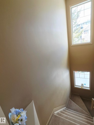 Staircase with carpeted steps and a window providing natural light - 60 1128 156 Street, Edmonton, AB - Indoor Photo Showing Other Room