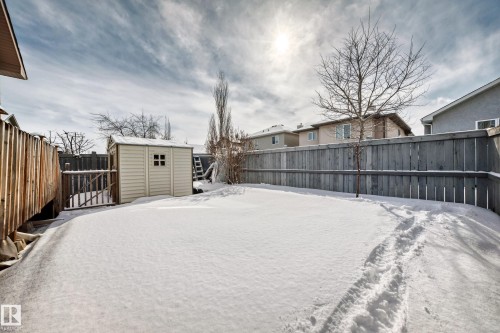 The property features an enclosed yard with a wooden fence and a storage shed - 10631 181 Avenue, Edmonton, AB - Outdoor