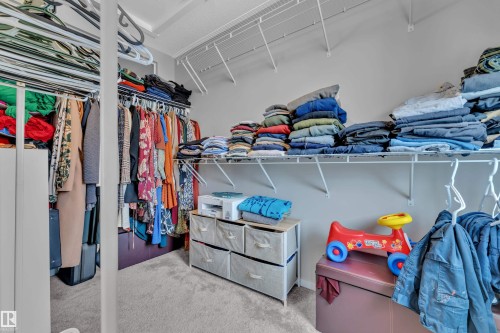 2611 Price Common, Edmonton, AB - Indoor With Storage