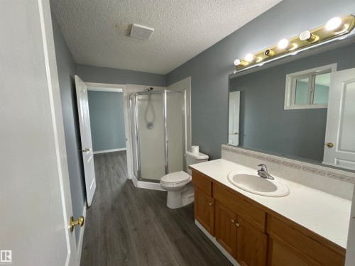 4420 50 Street, Rural Lamont County, AB - Indoor Photo Showing Bathroom