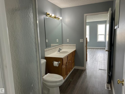 4420 50 Street, Rural Lamont County, AB - Indoor Photo Showing Bathroom