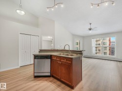 The kitchen features a stainless steel dishwasher, a double basin sink, and wood cabinetry - 