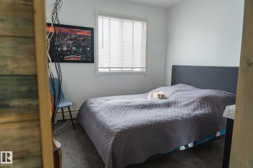 The room features a window with blinds, carpeted flooring, and a bed with a dark grey headboard - 303 10432 76 Avenue, Edmonton, AB - Indoor Photo Showing Bedroom