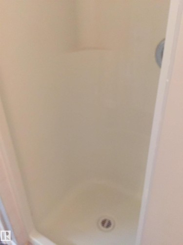 Bathroom view of a shower - 10831 80 Avenue, Edmonton, AB - Indoor Photo Showing Bathroom