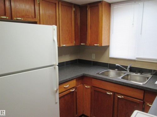10831 80 Avenue, Edmonton, AB - Indoor Photo Showing Kitchen With Double Sink