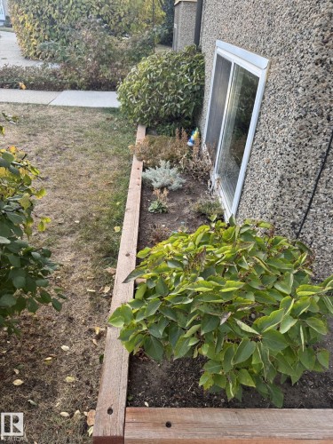 The property features a window set into an exterior wall with a textured finish, along with a garden bed framed by timber sleepers and containing various plantings - 14622 118 Street, Edmonton, AB - Outdoor