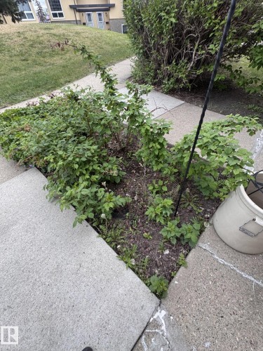 14622 118 Street, Edmonton, AB - Outdoor