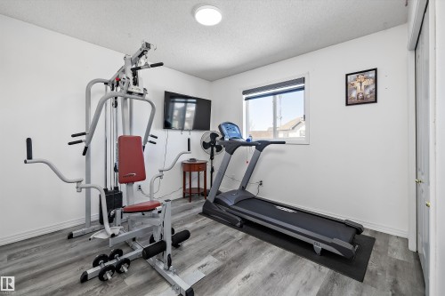 18206 108 Street, Edmonton, AB - Indoor Photo Showing Gym Room