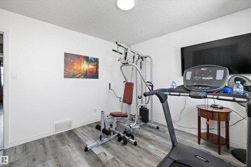 18206 108 Street, Edmonton, AB - Indoor Photo Showing Gym Room