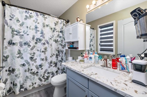 18206 108 Street, Edmonton, AB - Indoor Photo Showing Bathroom