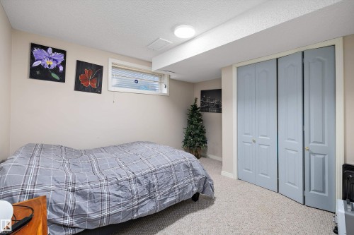 18206 108 Street, Edmonton, AB - Indoor Photo Showing Bedroom