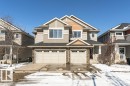 20 2004 Trumpeter Way, Edmonton, AB  - Outdoor With Facade 