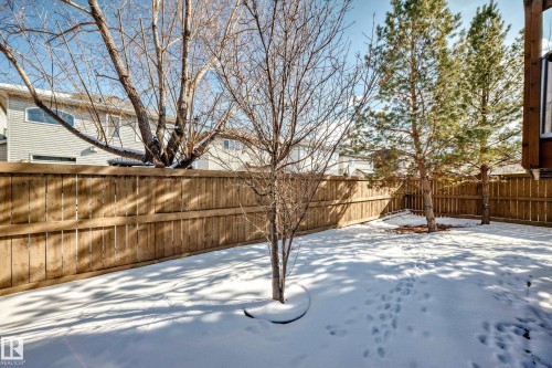 The property features a fenced yard with mature trees - 23 445 Brintnell Boulevard Nw, Edmonton, AB - Outdoor