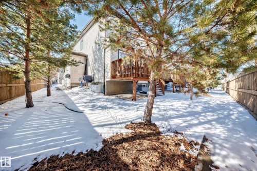 The property features a fenced yard with mature trees and a wooden deck, accessible via stairs - 23 445 Brintnell Boulevard Nw, Edmonton, AB - Outdoor