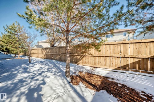 The property features a wood fence and mature trees - 23 445 Brintnell Boulevard Nw, Edmonton, AB - Outdoor