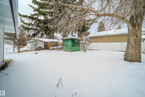 The property includes a spacious yard with a large, mature tree and a green shed - 6411 149 Avenue Nw, Edmonton, AB - Outdoor