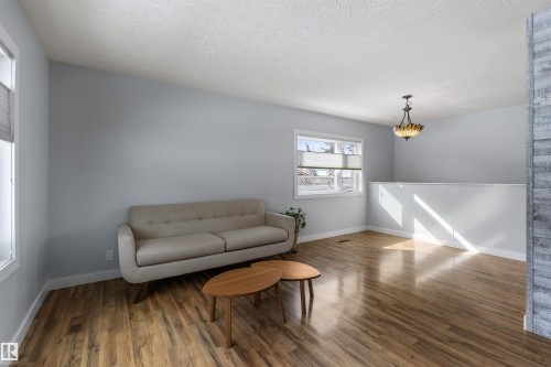 11924 141 Street, Edmonton, AB - Indoor Photo Showing Living Room