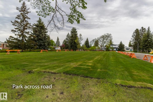 Expansive green space with mature trees - 10512 55 Avenue, Edmonton, AB - Outdoor With View