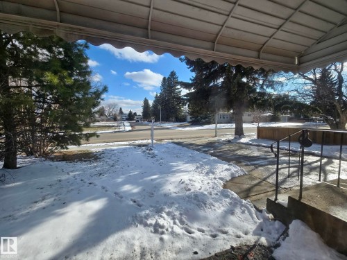 View from the property looking out the window - showcasing a large pocket park area - 10512 55 Avenue, Edmonton, AB - Outdoor