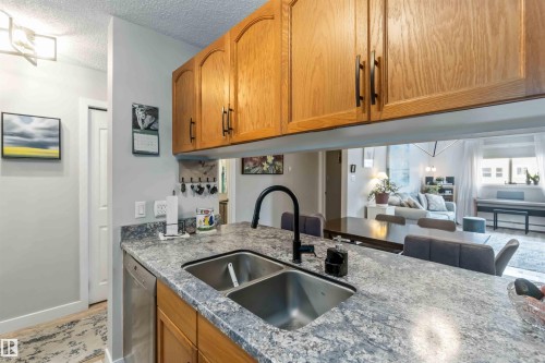 329 17447 98A Avenue, Edmonton, AB - Indoor Photo Showing Kitchen With Double Sink