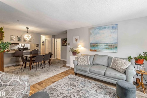 329 17447 98A Avenue, Edmonton, AB - Indoor Photo Showing Living Room