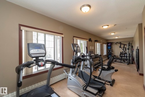 Dedicated fitness area featuring exercise equipment, carpeted flooring, and windows providing natural light - 416 263 Macewan Road, Edmonton, AB - Indoor Photo Showing Gym Room