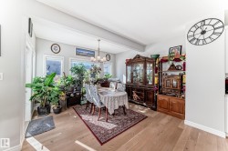 This inviting dining area features hardwood floors, a decorative area rug, and ample natural light from multiple windows - 
