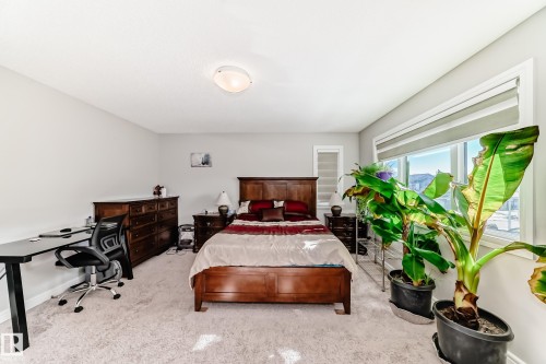 The room features light gray walls, a window with a roller blind, and carpeted flooring - 22407 99 Avenue, Edmonton, AB - Indoor Photo Showing Bedroom