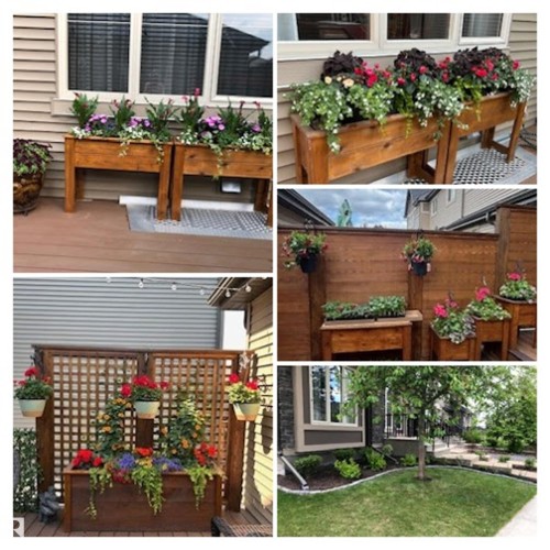 3056 Keswick Way, Edmonton, AB - Outdoor