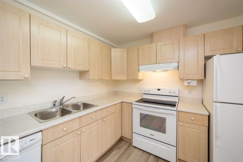 252 13441 127 St, Edmonton, AB - Indoor Photo Showing Kitchen With Double Sink