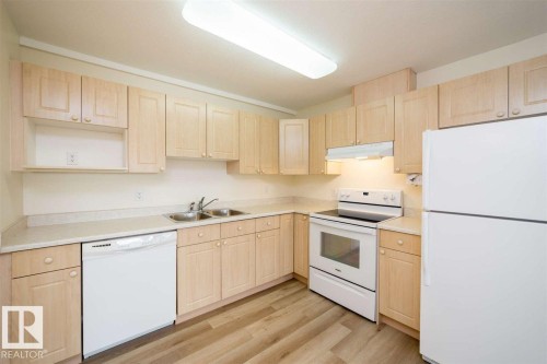 252 13441 127 St, Edmonton, AB - Indoor Photo Showing Kitchen With Double Sink