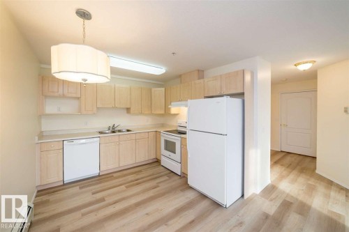 252 13441 127 St, Edmonton, AB - Indoor Photo Showing Kitchen With Double Sink