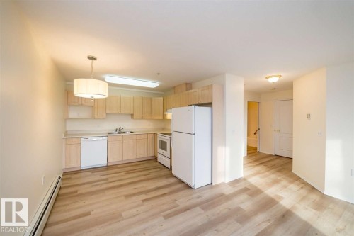 252 13441 127 St, Edmonton, AB - Indoor Photo Showing Kitchen With Double Sink