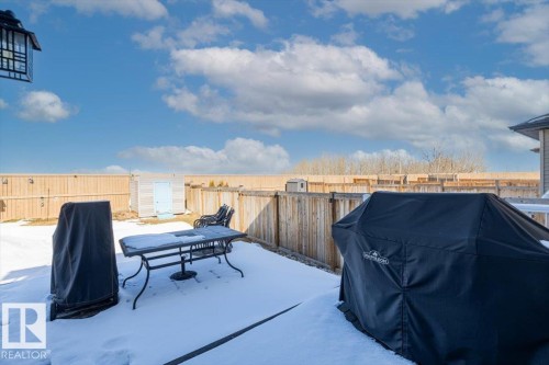 17616 124 Street, Edmonton, AB - Outdoor With Deck Patio Veranda