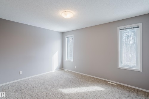 The room features light gray walls, a textured carpet, and two windows allowing natural light - 14007 164 Avenue, Edmonton, AB - Indoor Photo Showing Other Room
