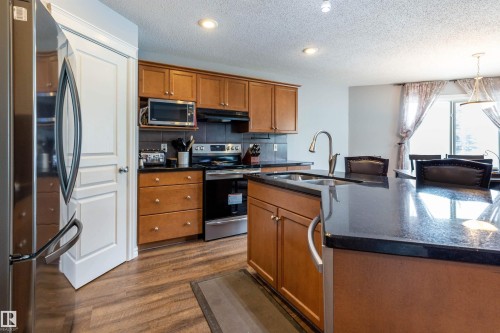 20515 92 Avenue, Edmonton, AB - Indoor Photo Showing Kitchen With Double Sink