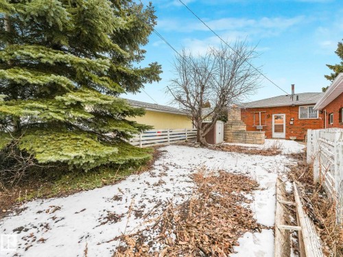 The property features a fenced yard with a mature evergreen tree - 5904 84 Avenue, Edmonton, AB - Outdoor