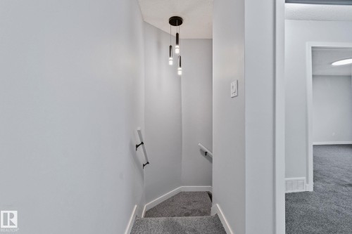 The property features a staircase with carpeted steps and a modern pendant light fixture - 8620 38A Avenue, Edmonton, AB - Indoor Photo Showing Other Room