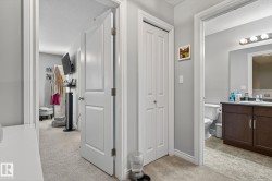 Hallway featuring light gray walls, carpet flooring, and white trim - 