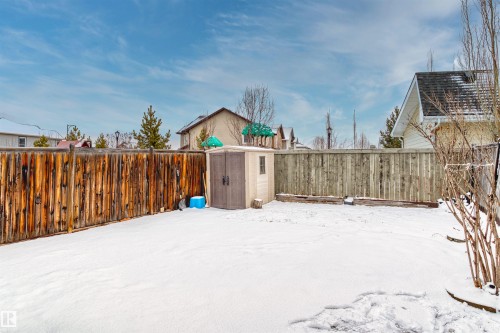 The property features a large yard with a wooden privacy fence and a storage shed - 11542 18A Avenue, Edmonton, AB - Outdoor