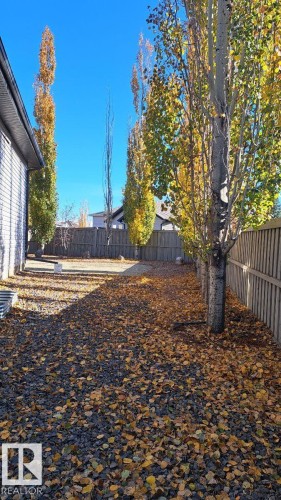 The property features an extensive outdoor area with mature trees and a fenced perimeter - 1781 Melrose Crescent, Edmonton, AB - Outdoor