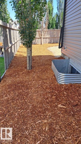 The property features a fenced yard with wood chip landscaping and a mature tree, alongside a window well - 1781 Melrose Crescent, Edmonton, AB - Outdoor