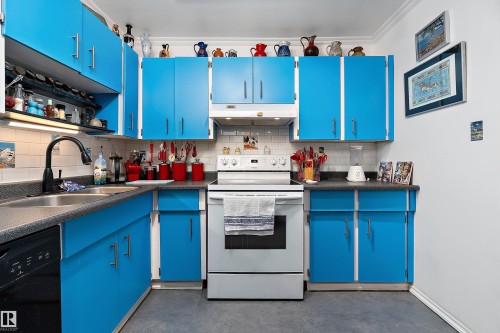 401 10335 118 Street, Edmonton, AB - Indoor Photo Showing Kitchen With Double Sink