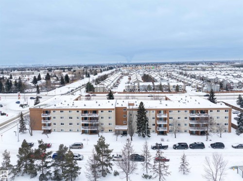 The property features a multi-story building with balconies, surrounded by a landscaped area with trees and parking - 401 3611 145 Avenue, Edmonton, AB - Outdoor With View