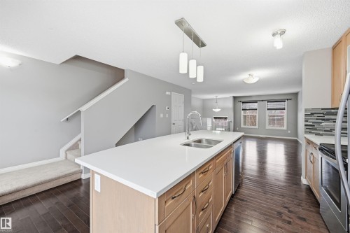 4033 Orchards Drive, Edmonton, AB - Indoor Photo Showing Kitchen With Double Sink