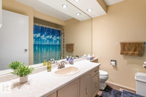 3959 55 Street, Edmonton, AB - Indoor Photo Showing Bathroom