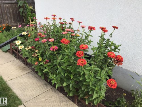 51 Glenmore Crescent, St. Albert, AB - Outdoor